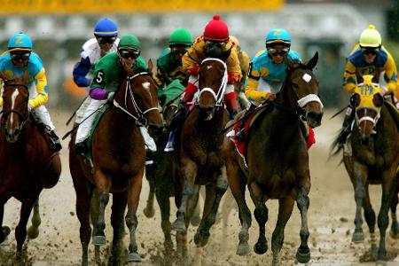 Jockey in Not: Pferd beißt Finger ab Jockey in Not: Pferd beißt Finger ab