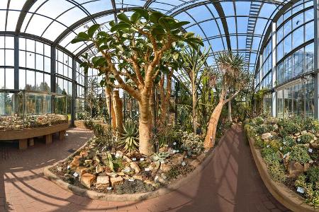 Botanische Garten Kiel
