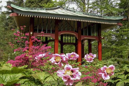 Botanischer Garten Berlin
