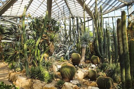 Palmengarten Frankfurt