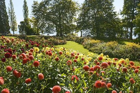 Insel Mainau Konstanz