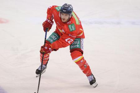DEL: Iserlohn Roosters verpflichten Schiemenz DEL: Iserlohn Roosters verpflichten Schiemenz