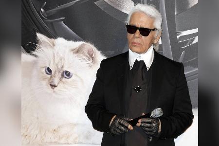 Kommt Karl Lagerfelds Katze Choupette zur Met Gala? Kommt Karl Lagerfelds Katze Choupette zur Met Gala?