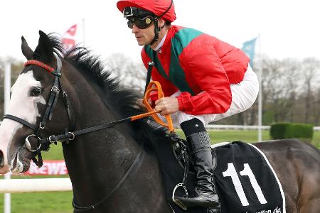 Galopp: Niederlage für den Favoriten Tünnes Galopp: Niederlage für den Favoriten Tünnes