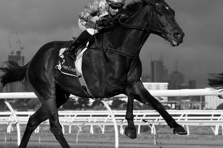 Jockey stirbt nach schwerem Sturz im Alter von 34 Jahren Jockey stirbt nach schwerem Sturz im Alter von 34 Jahren
