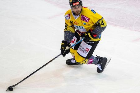 DEL: Finkelstein wechselt zu den Eisbären DEL: Finkelstein wechselt zu den Eisbären