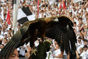 Umfrage: Frankfurt-Maskottchen und FC-Hymne am beliebtesten