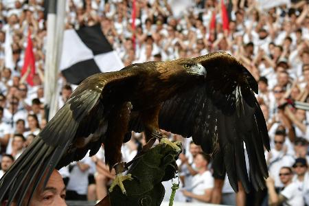 Umfrage: Frankfurt-Maskottchen und FC-Hymne am beliebtesten Umfrage: Frankfurt-Maskottchen und FC-Hymne am beliebtesten