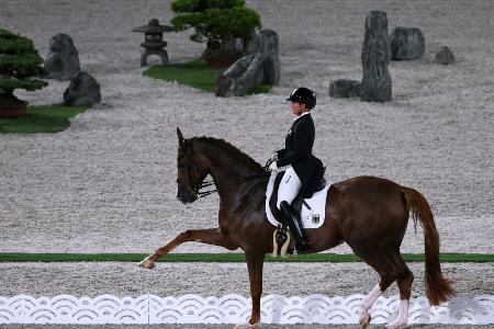 Maimarktturnier Mannheim: Werth gewinnt Grand Prix Maimarktturnier Mannheim: Werth gewinnt Grand Prix