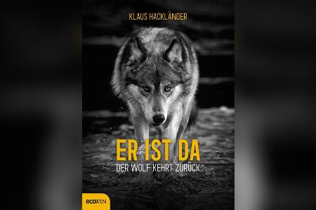 Ausbreitung von Wildtieren: Wie gefährlich sind Wolf, Bär und Co.?
