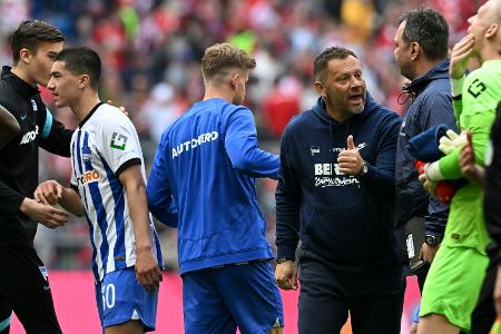 Hertha-Trainer Dardai: Hertha-Trainer Dardai: