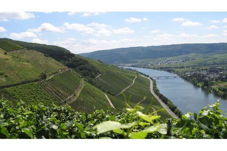 Moselsteig