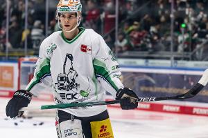 DEL: Haie holen Lindner aus Bietigheim