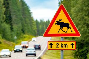 32 km/h zu schnell - 121.000 Euro Strafe