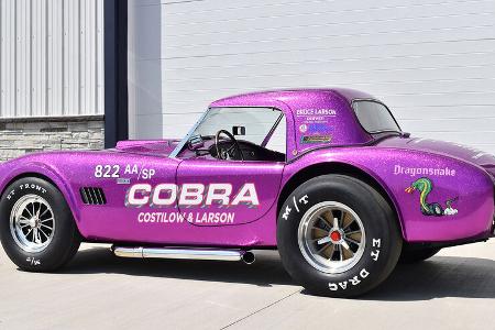 Shelby American Dragonsnake Cobra