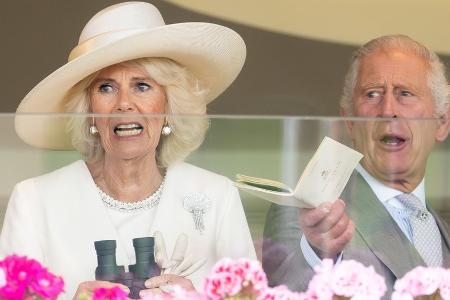 Gespannt beim Pferderennen: Wird Charles III. doch noch zum Ascot-Fan? Gespannt beim Pferderennen: Wird Charles III. doch noch zum Ascot-Fan?