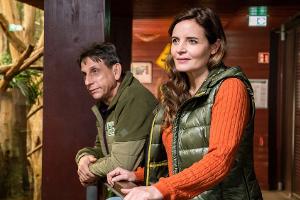 TV-Tipps am Dienstag