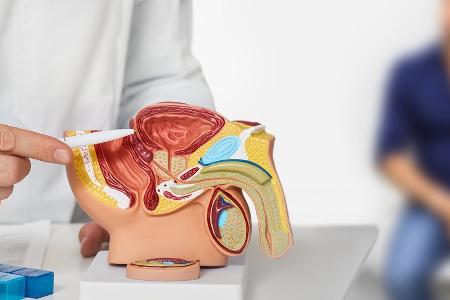 Angst vorm Urologen? Warum Männer regelmäßig zum Check-up sollten