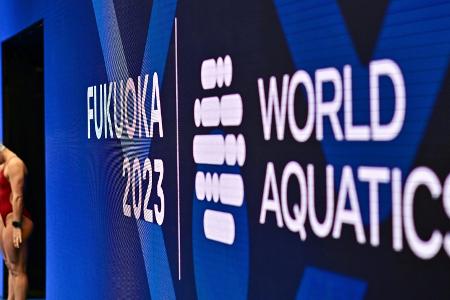 Schwimm-WM: Müller und Wesemann im 1-m-Finale Schwimm-WM: Müller und Wesemann im 1-m-Finale