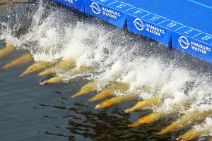 Triathlon-WM: Zwölf deutsche Athleten im Finale