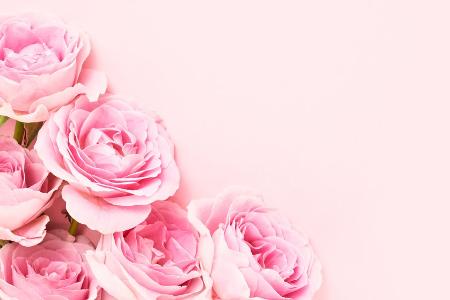Rosenblütenöl: Die Beauty-Geheimwaffe für strahlende Haut Rosenblütenöl: Die Beauty-Geheimwaffe für strahlende Haut