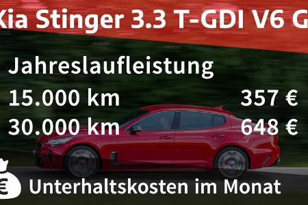 Kia Stinger 3.3 T-GDI V6 GT Realverbrauch