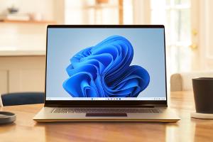 Windows 11 ohne Installation starten