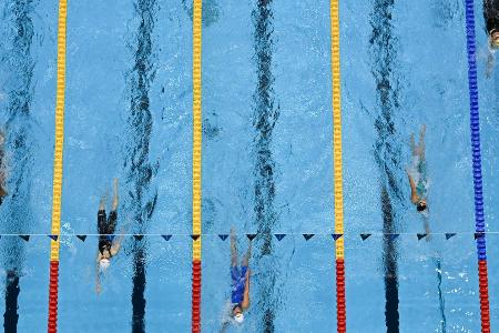 Schwimmen: LSVD bewertet offene Kategorie als Schwimmen: LSVD bewertet offene Kategorie als