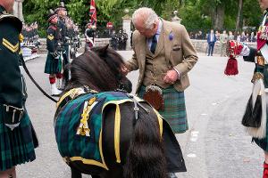 König Charles auf Balmoral: Ein Pony stiehlt ihm zunächst die Show