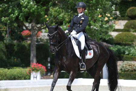 Dressur-EM: Von Bredow-Werndl gewinnt Gold im Special Dressur-EM: Von Bredow-Werndl gewinnt Gold im Special