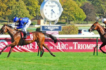 Derbysieger Fantastic Moon startet beim Arc de Triomphe Derbysieger Fantastic Moon startet beim Arc de Triomphe
