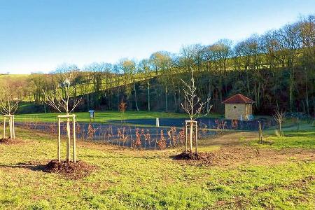 Stellplatz Waldgrehweiler Stellplatz Waldgrehweiler