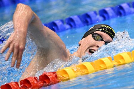 Schwimm-Weltcup Schwimm-Weltcup