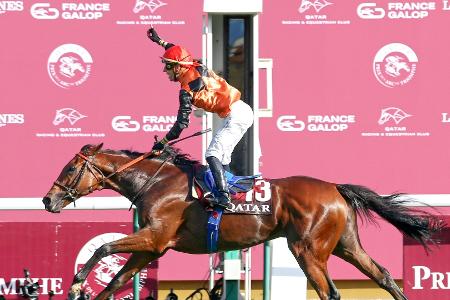 Geography ist der Galopp-Winterfavorit 2023 Geography ist der Galopp-Winterfavorit 2023