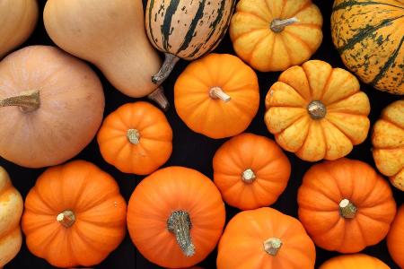 Von Butternut bis Hokkaido: Beliebte Kürbissorten im Überblick Von Butternut bis Hokkaido: Beliebte Kürbissorten im Überblick