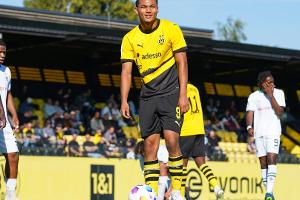 Brunner beim BVB nach "einem Vorfall" suspendiert