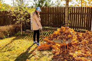 Gartenarbeit im Herbst: Laub, Äste und mehr richtig entsorgen