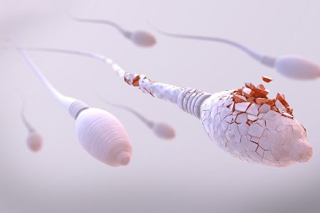 eingeschränkte-spermienproduktion