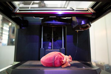 Organ-3D-Drucker