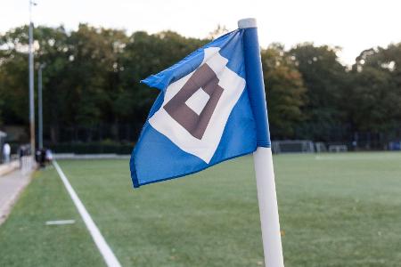 Knapp acht Millionen: HSV macht erneut Gewinn Knapp acht Millionen: HSV macht erneut Gewinn