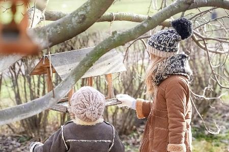 Vögel im Winter: So können nicht nur Gartenbesitzer helfen Vögel im Winter: So können nicht nur Gartenbesitzer helfen