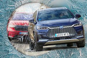 BYD hält Verlust gering, Skoda büßt massiv ein