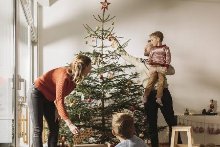 Weihnachtsbaum mit gutem Gewissen: Diese Alternativen gibt es Weihnachtsbaum mit gutem Gewissen: Diese Alternativen gibt es