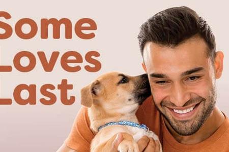Sam Asghari: Macht er sich über seine Ehe mit Britney Spears lustig? Sam Asghari: Macht er sich über seine Ehe mit Britney Spears lustig?