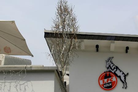 Kein Freispruch für Köln: CAS bestätigt Transfersperre Kein Freispruch für Köln: CAS bestätigt Transfersperre