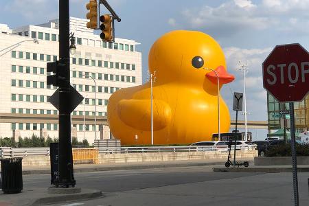 Ente in Detroit