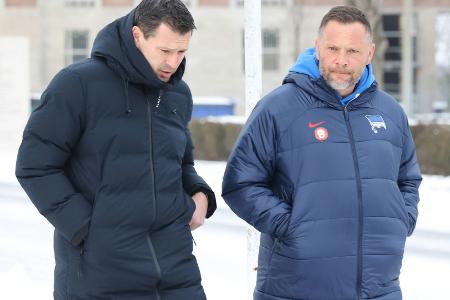 Dardai nach Bernstein-Tod: Dardai nach Bernstein-Tod: