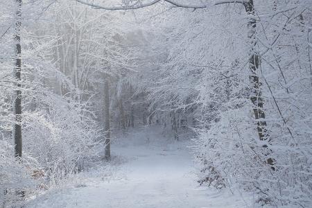 Schneezauber: Was gehört beim Winterwandern in den Rucksack? Schneezauber: Was gehört beim Winterwandern in den Rucksack?