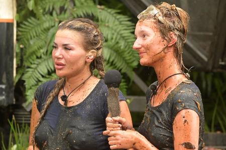 Drei abgebrochene Prüfungen: Dschungelcamp mit Negativrekord Drei abgebrochene Prüfungen: Dschungelcamp mit Negativrekord