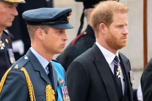 Prinz William und Prinz Harry: "Keine Pläne" für Reunion in London